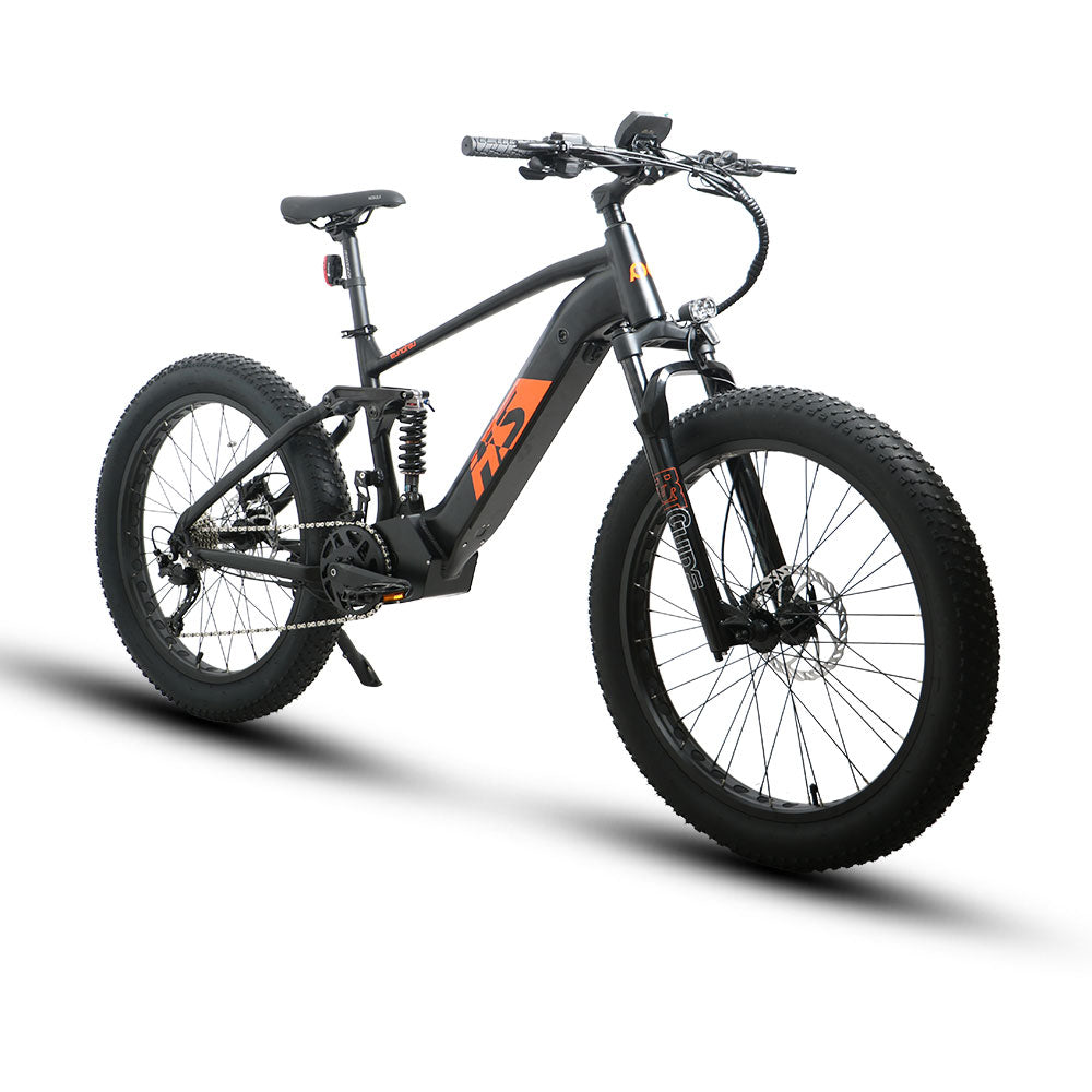 Electric Mountain Bike FAT HS 48V 1000W